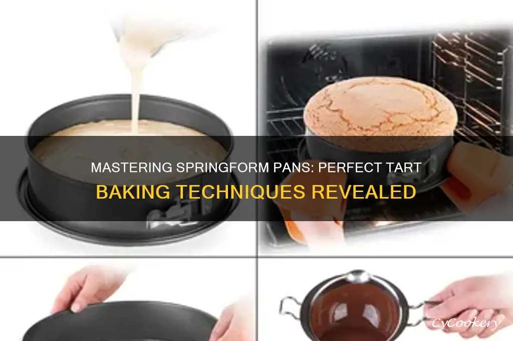 how to use a springform pan for a tart