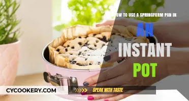 Instant Pot Baking: Mastering Springform Pan Recipes with Ease