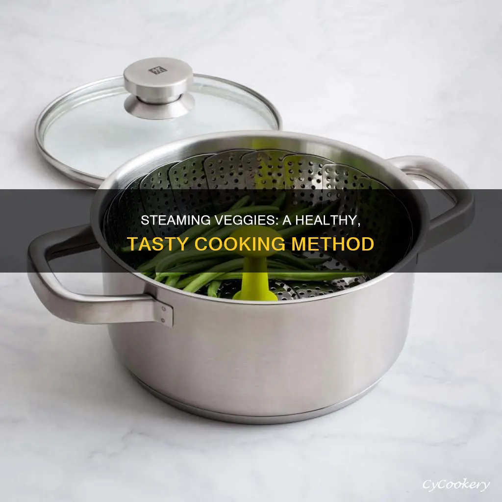 how to use a steamer for cooking vegetables