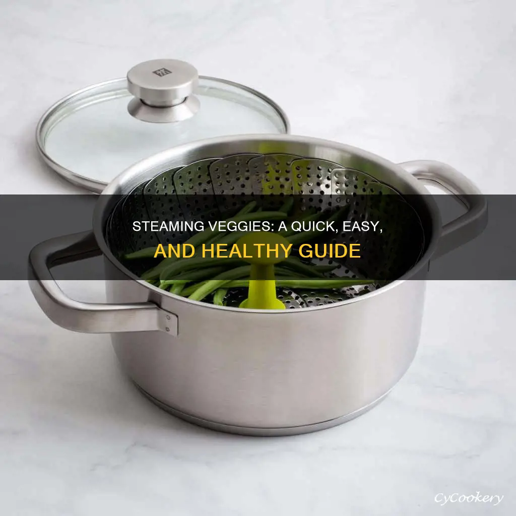 how to use a steamer for veggies