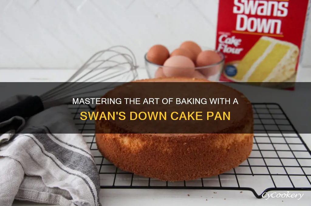 how to use a swan