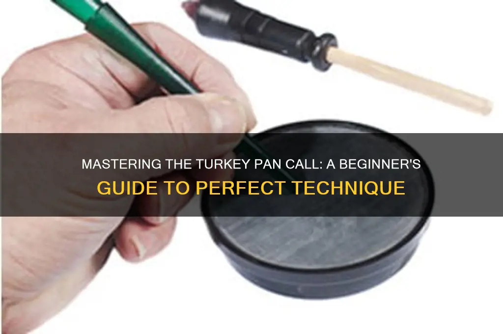 how to use a turkey pan call