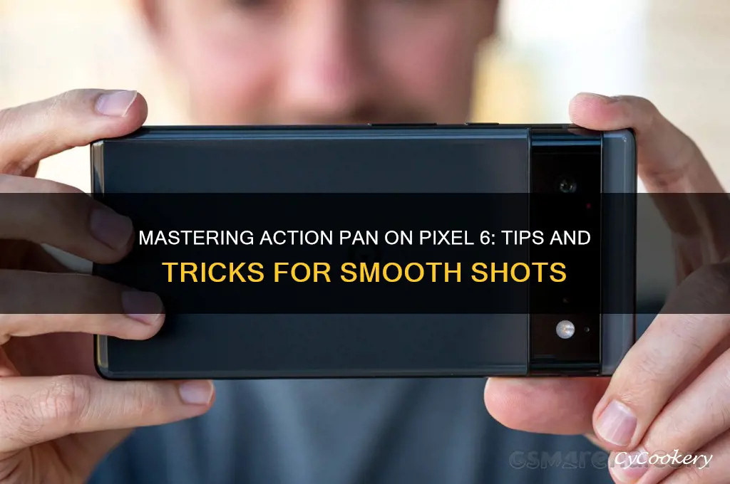 how to use action pan pixel 6