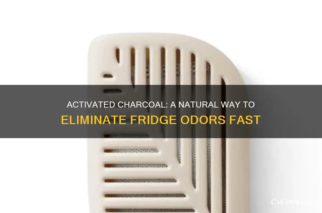 how to use activated charcoal in refrigerator