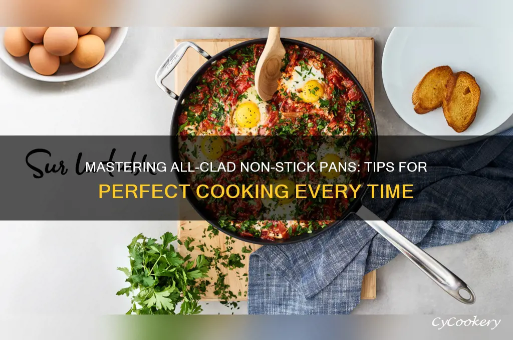 how to use all clad non stick pans