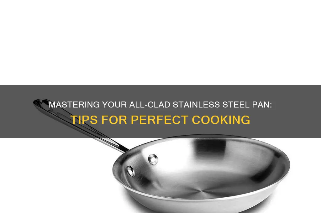 how to use all clad stainless steel pan