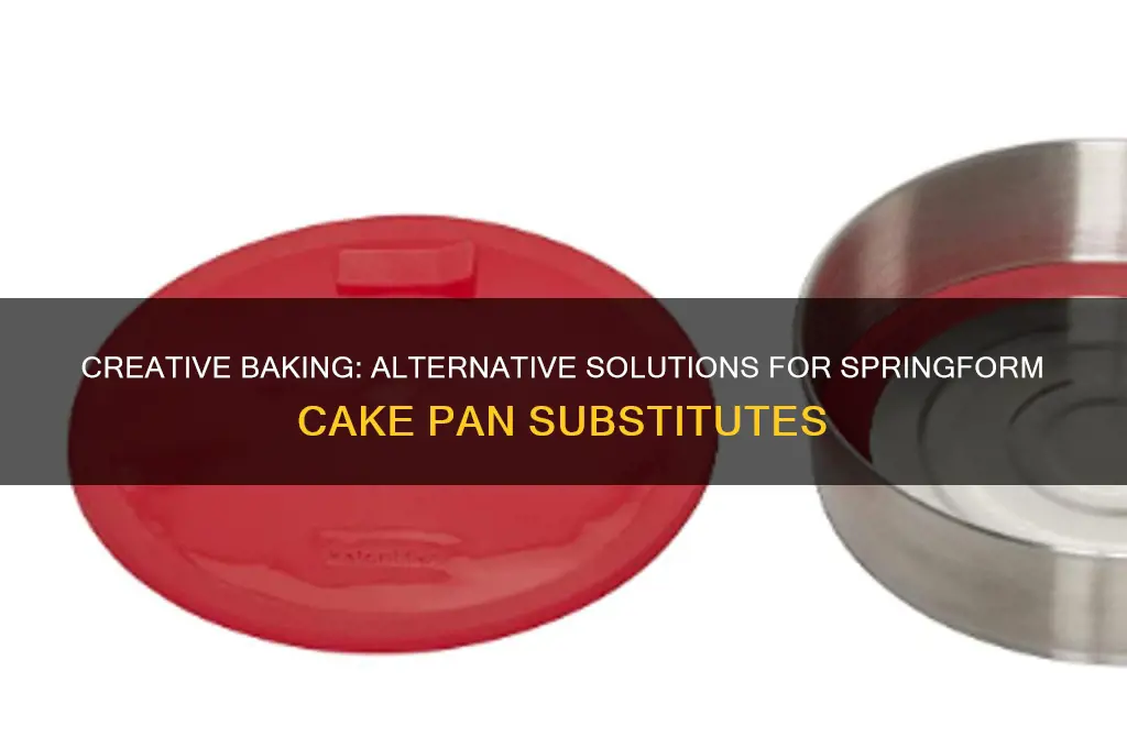 how to use alternative for spring form cake pans
