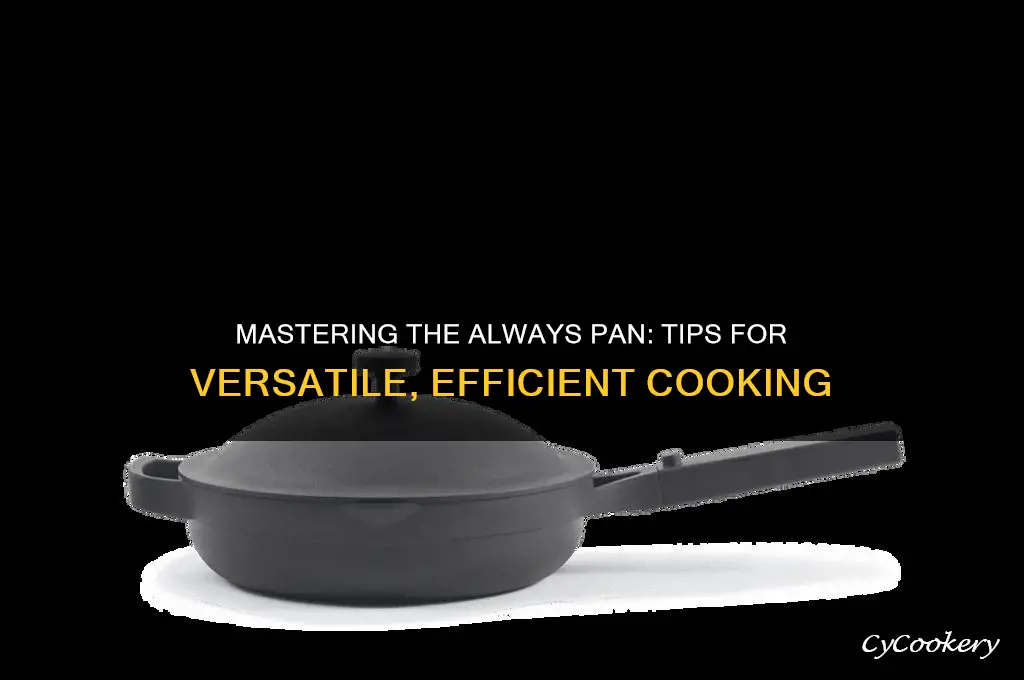 how to use always pan