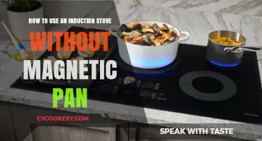 Non-Magnetic Cookware Solutions: Mastering Induction Stove Cooking Techniques