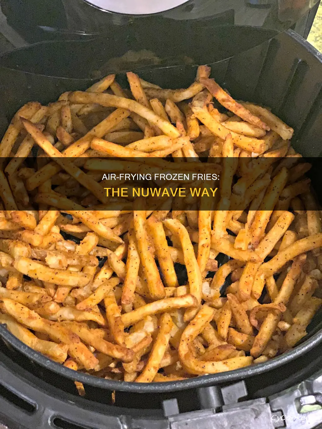 how to use an nuwave air fryer cooking frozen fries