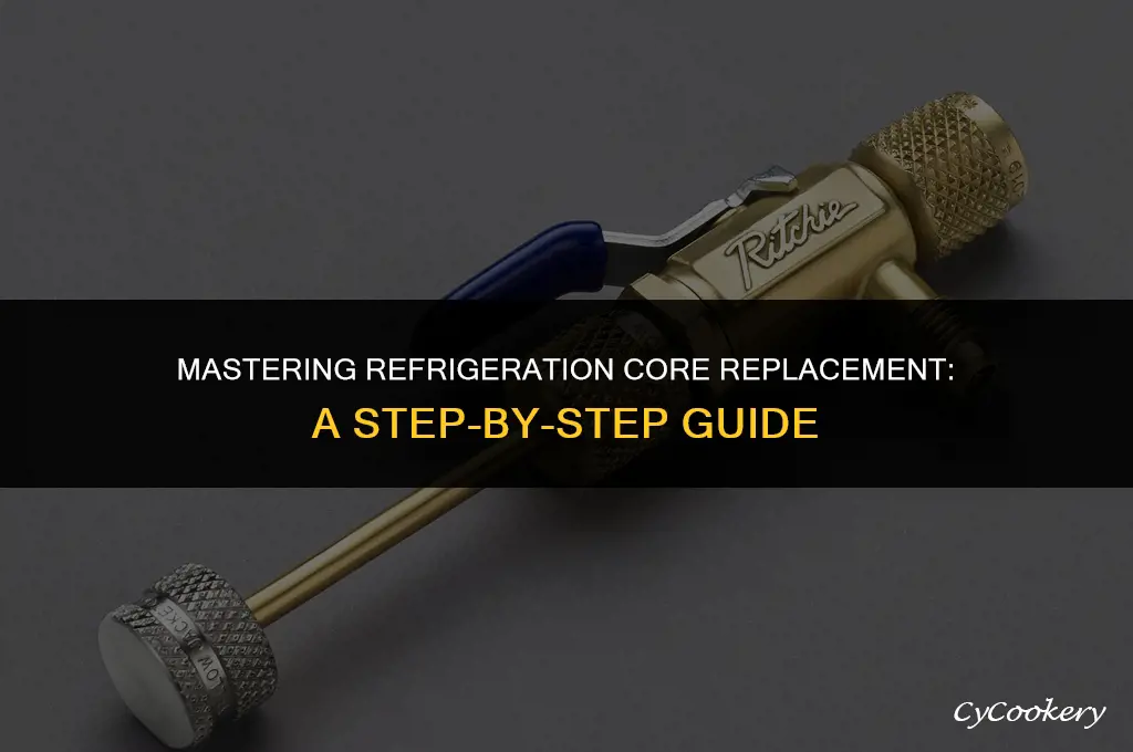 how to use an refrigeration core replacement tool