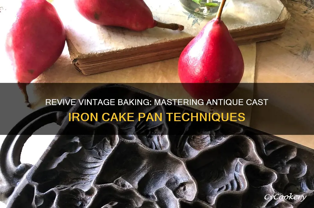 how to use antique cast iron cake pan