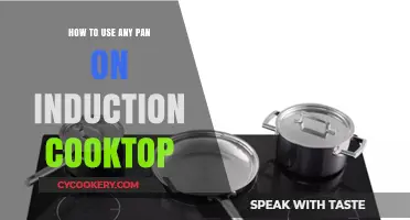 Mastering Induction Cooking: Using Any Pan on Your Cooktop