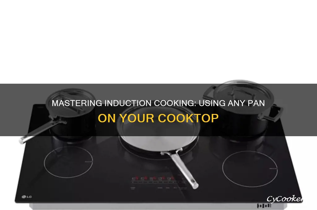 how to use any pan on induction cooktop