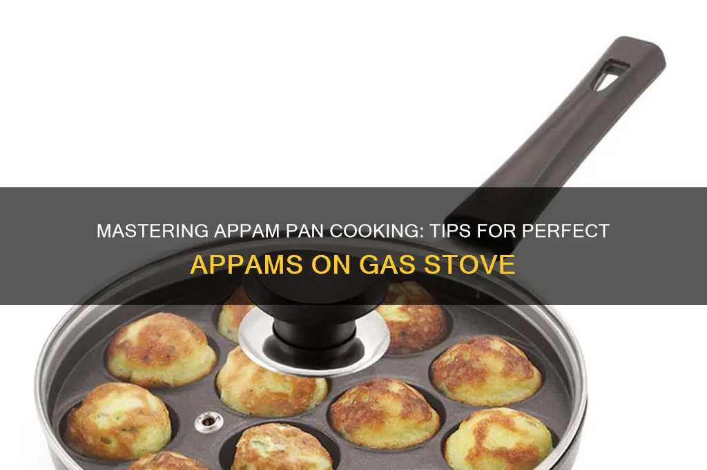 how to use appam pan on gas