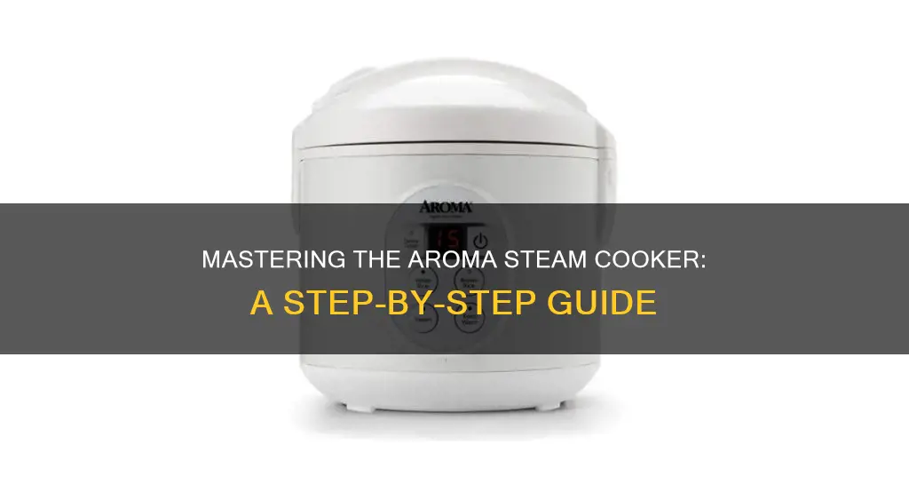 how to use aroma steam cooker