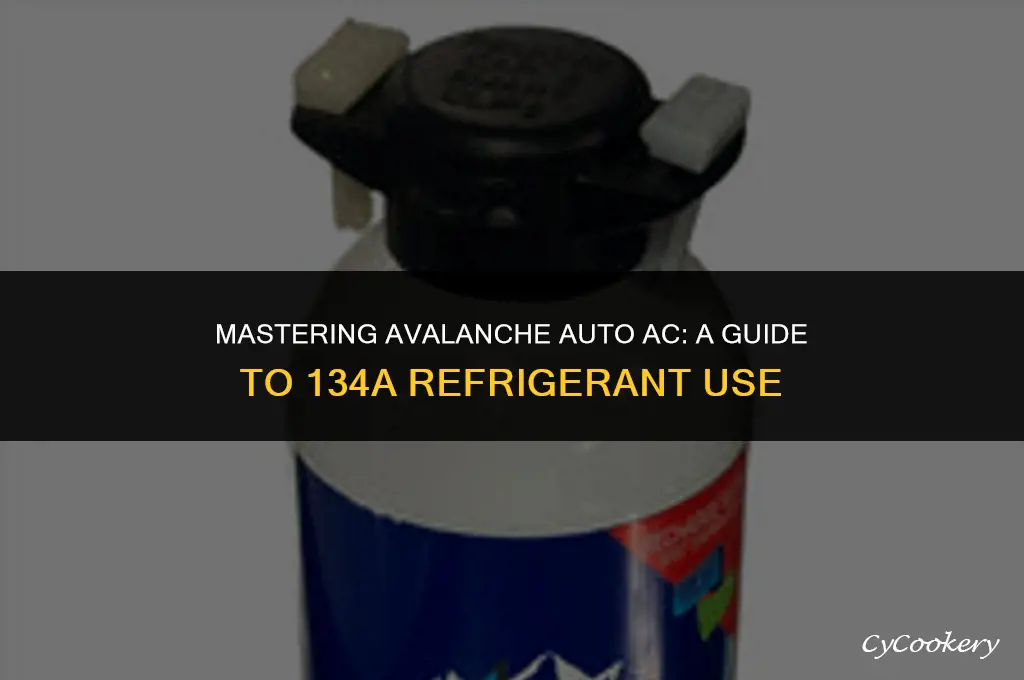 how to use avalanche auto air conditioning 134a refrigerant