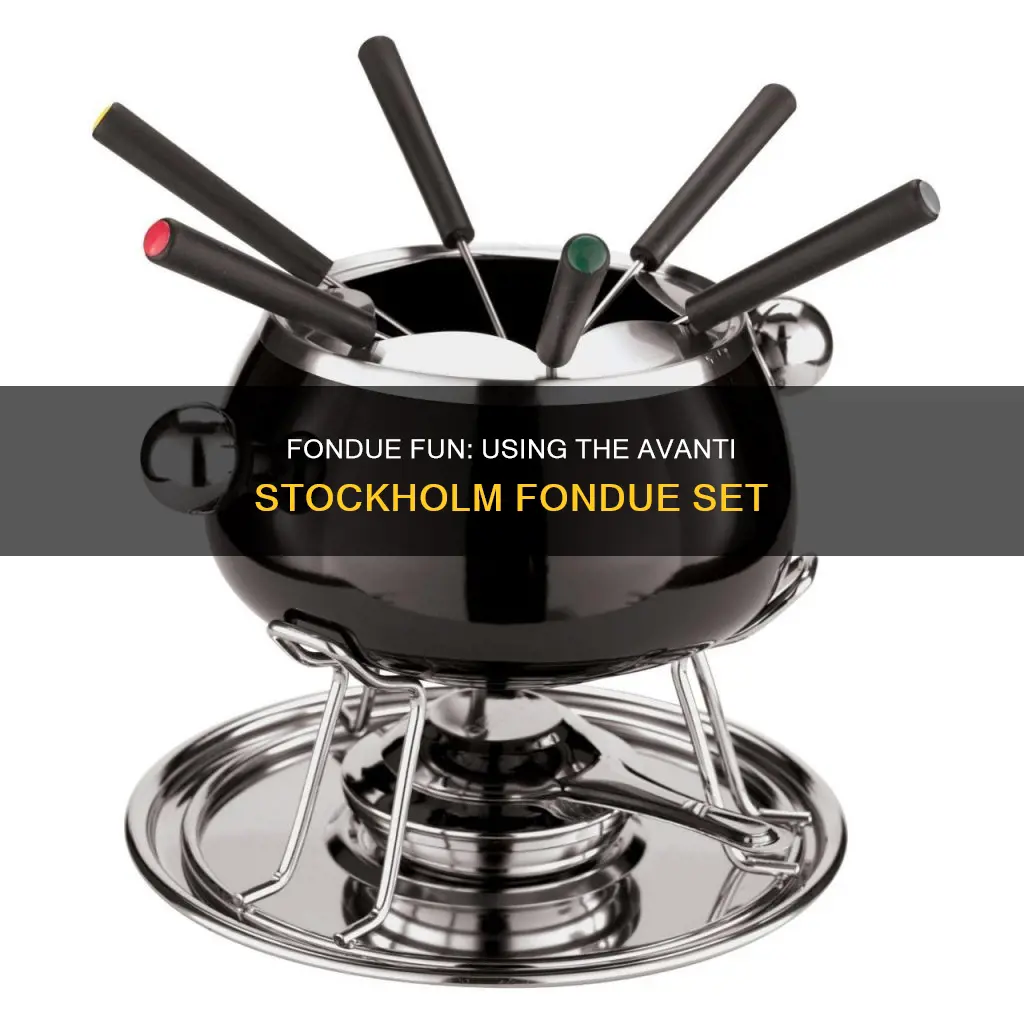 how to use avanti stockholm fondue set