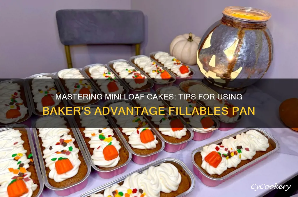 how to use baker