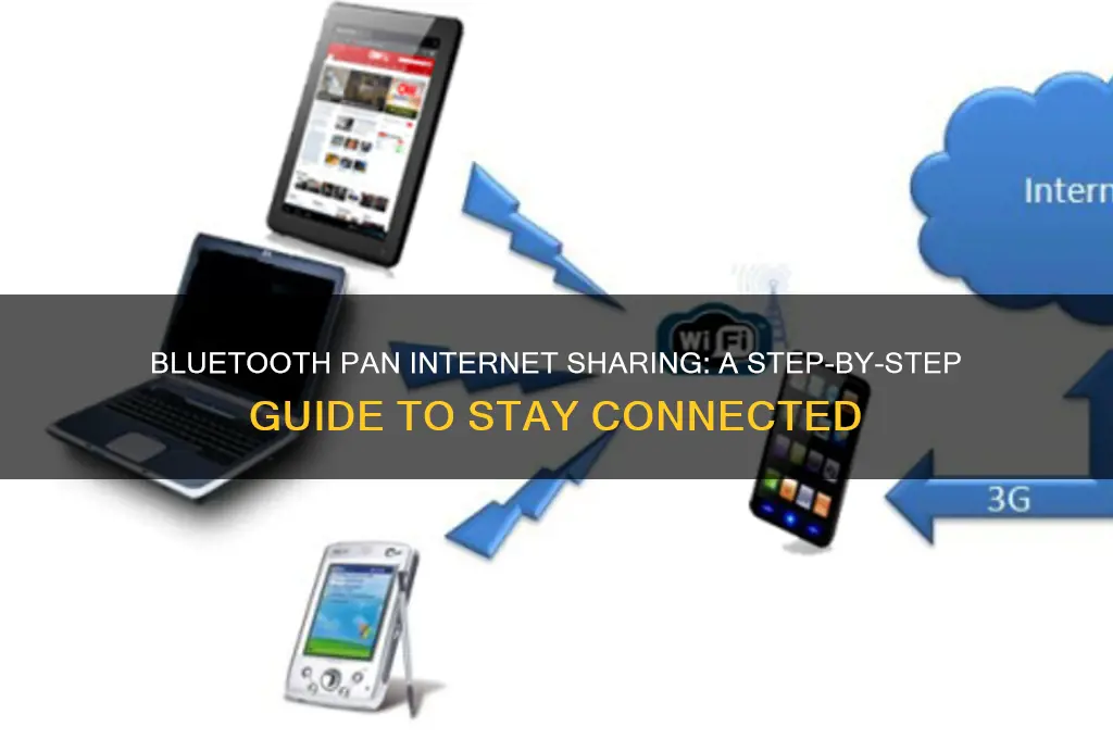 how to use bluetooth pan internet sharing