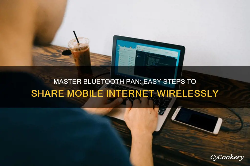how to use bluetooth pan