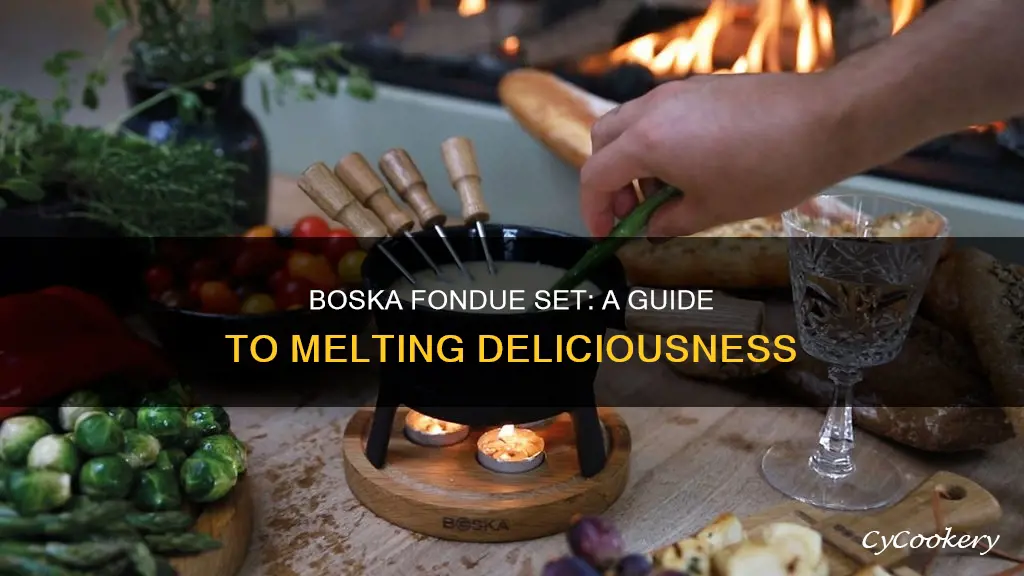 how to use boska fondue set