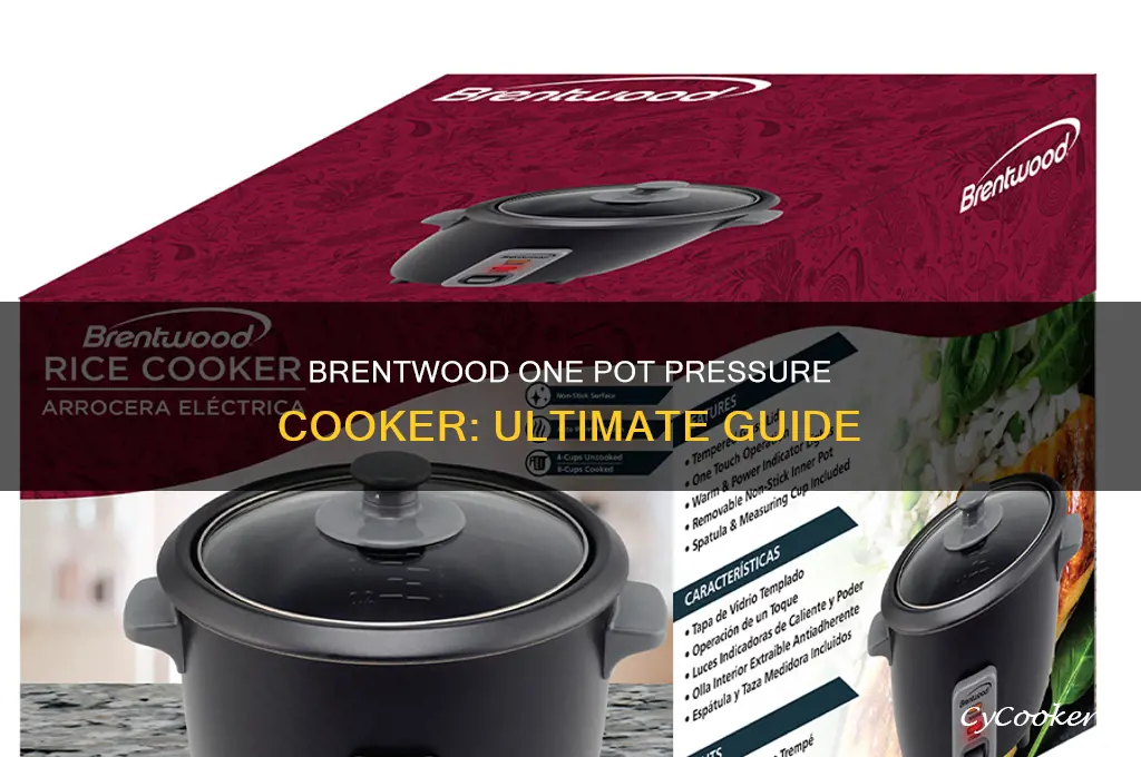 how to use brentwood one pot pressure cooker