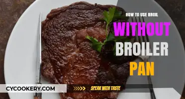 Broiling Made Easy: Alternative Methods Without a Broiler Pan