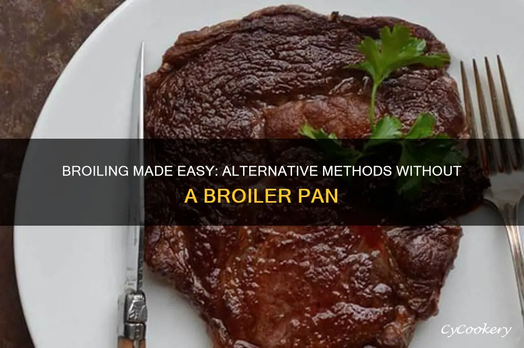 how to use broil without broiler pan