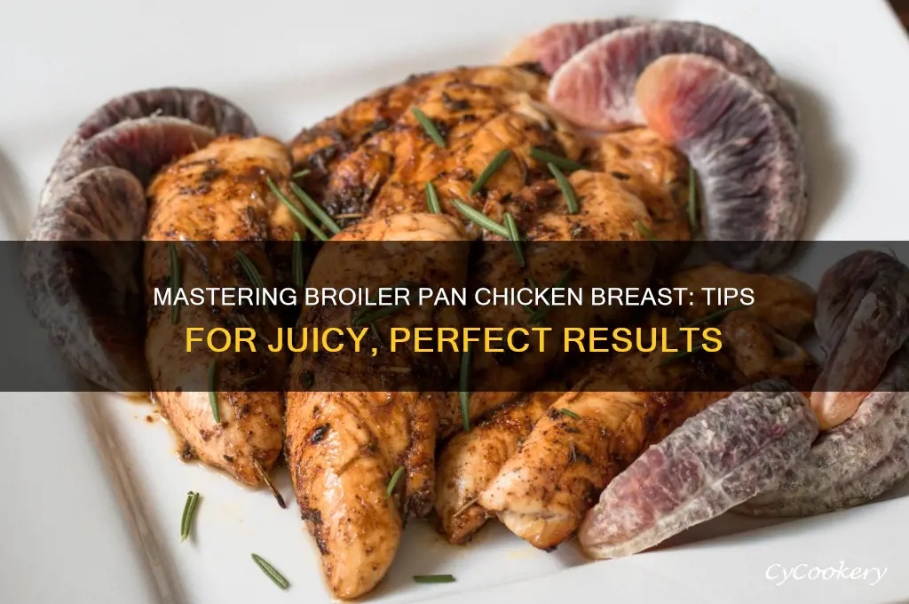 how to use broiler pan chicken breast