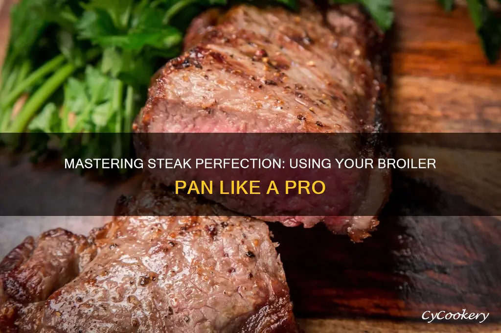 how to use broiler pan for steak