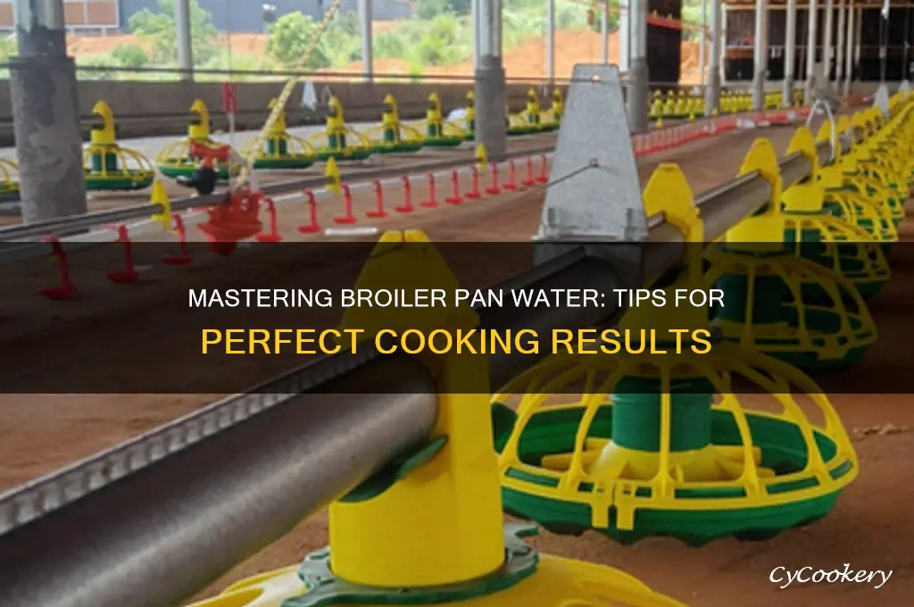 how to use broiler pan water