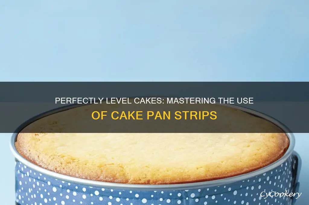 how to use cake pan strips
