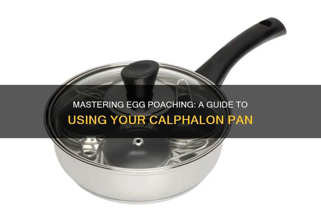 how to use calphalon egg poaching pan