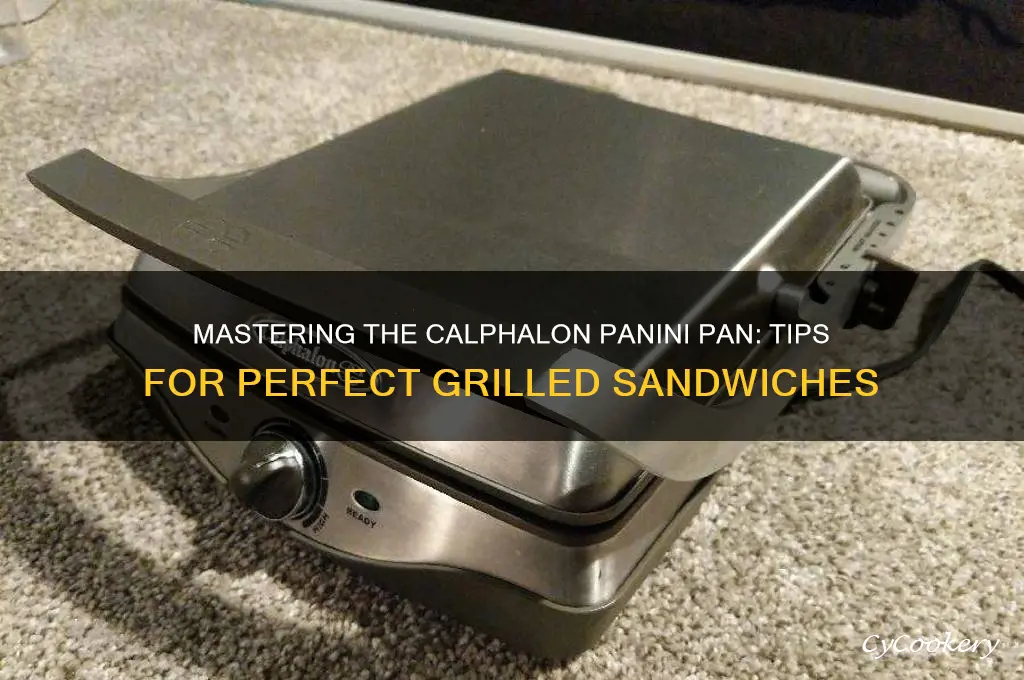 how to use calphalon panini pan