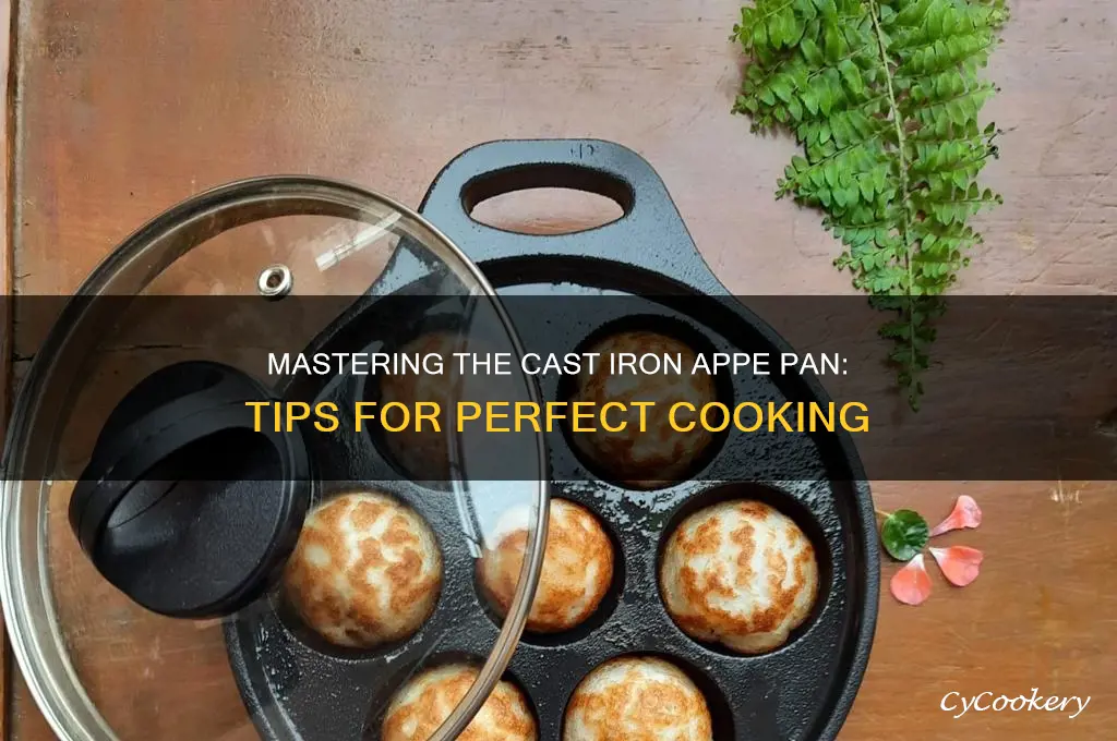 how to use cast iron appe pan
