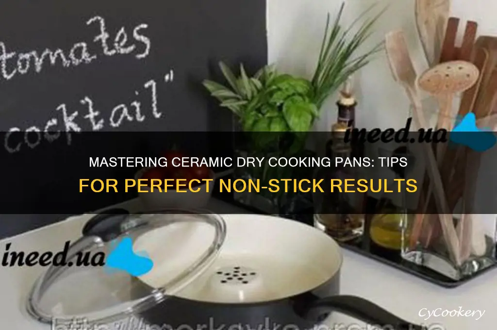 how to use ceramic dry cooking pan