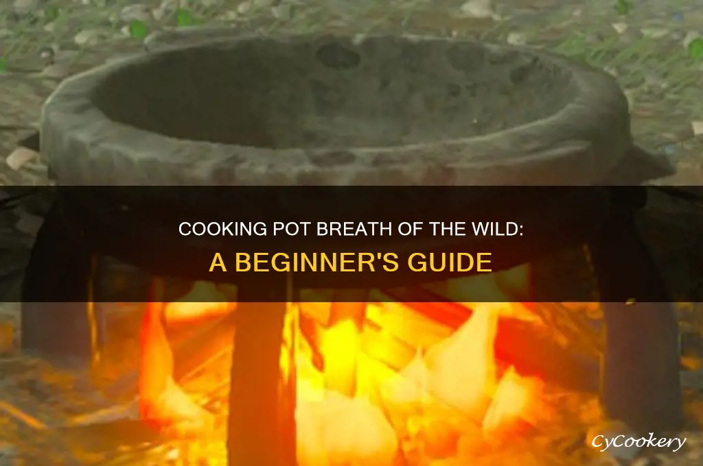 how to use cooking pot breath of the wild