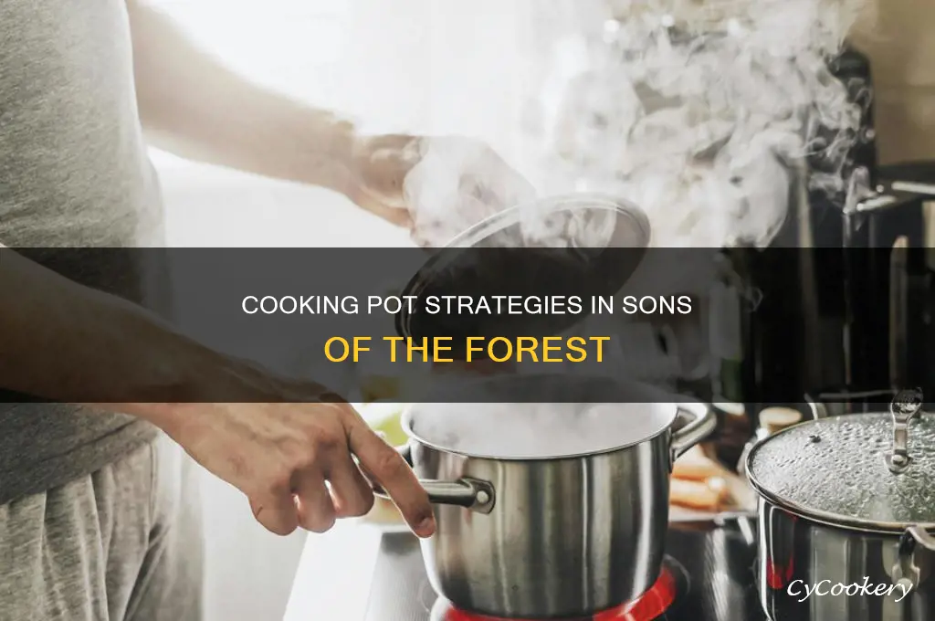 how to use cooking pot in sons of the forest