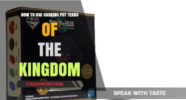 Cooking Pot Mastery in Tears of the Kingdom