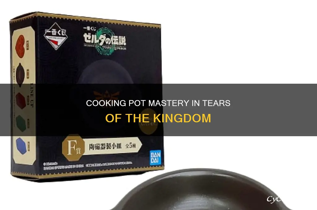 how to use cooking pot tears of the kingdom