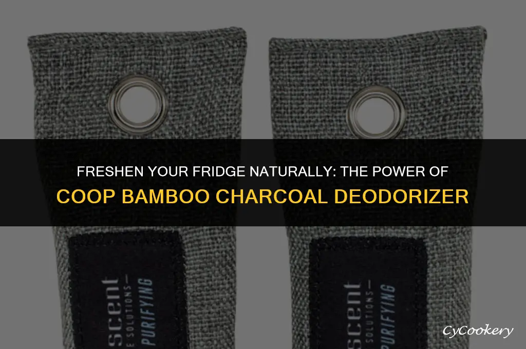 how to use coop bamboo charcoal refrigerator deodorizer