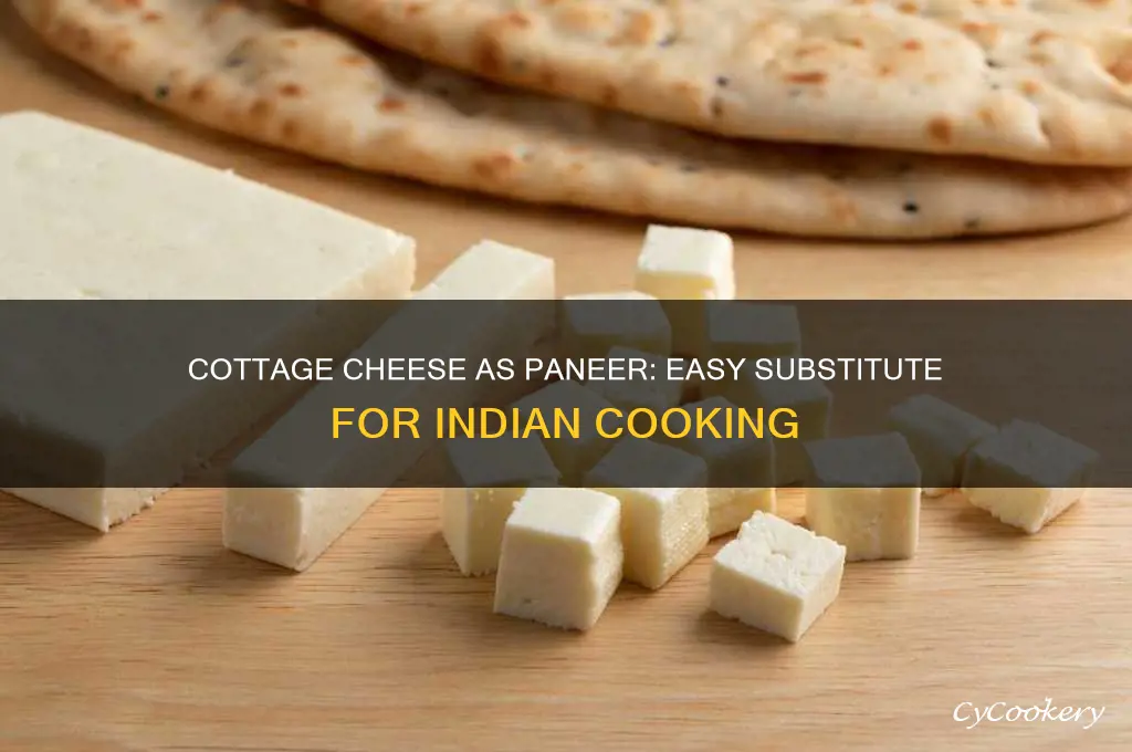 how to use cottage cheese as paneer