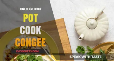 The Ultimate Crock-Pot Congee Guide