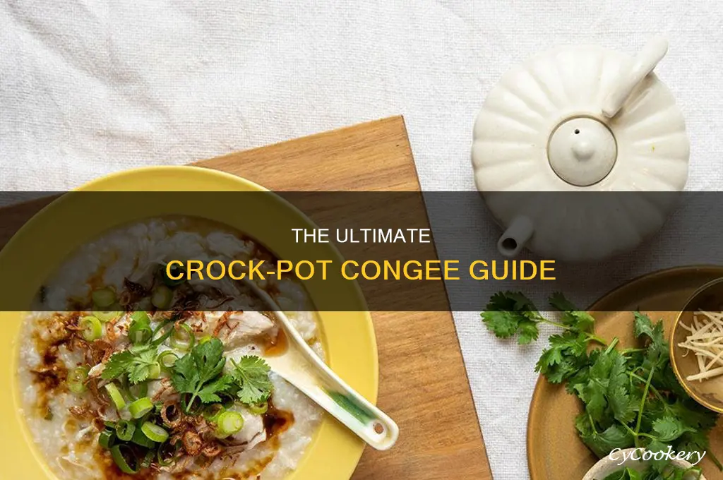 how to use crock pot cook congee