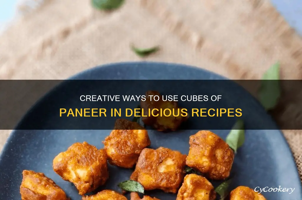 how to use cubes of paneer