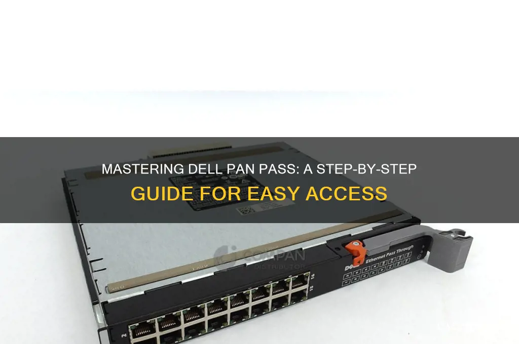 how to use dell pan pass