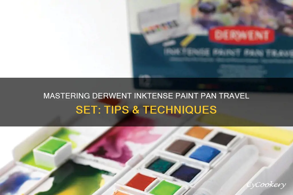 how to use derwent inktense paint pan travel set