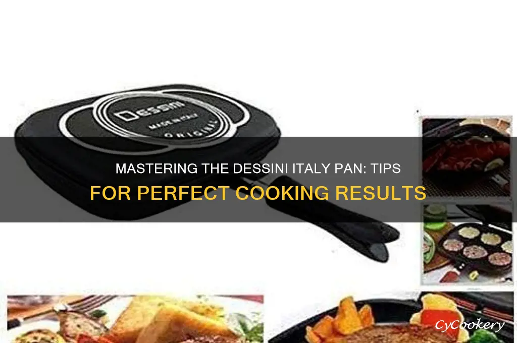 how to use dessini italy pan