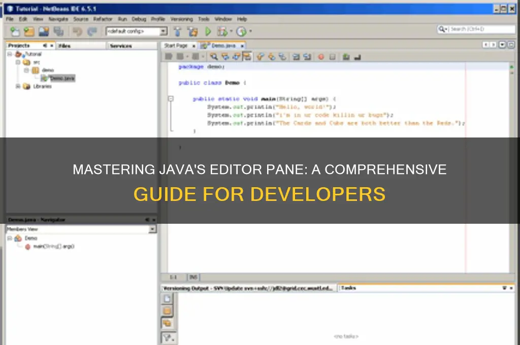 how to use editor pane in java